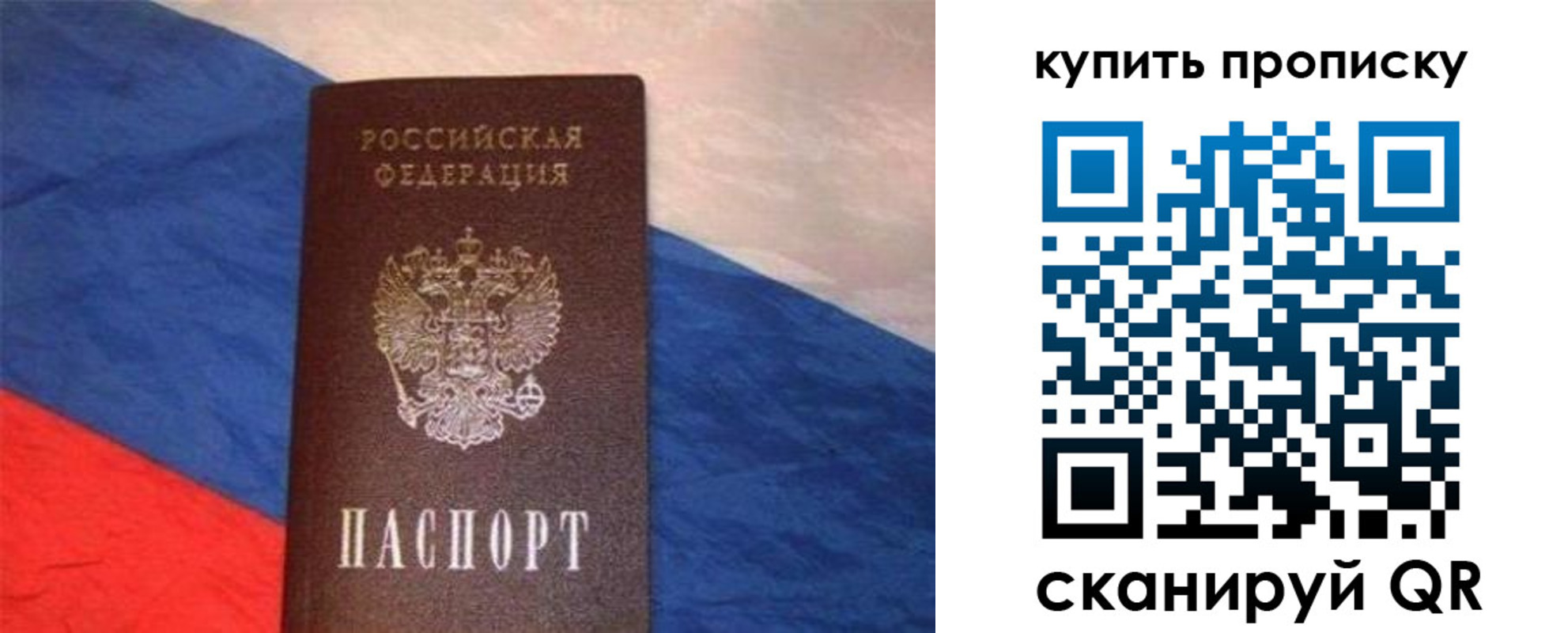 прописка штамп в Вязьме